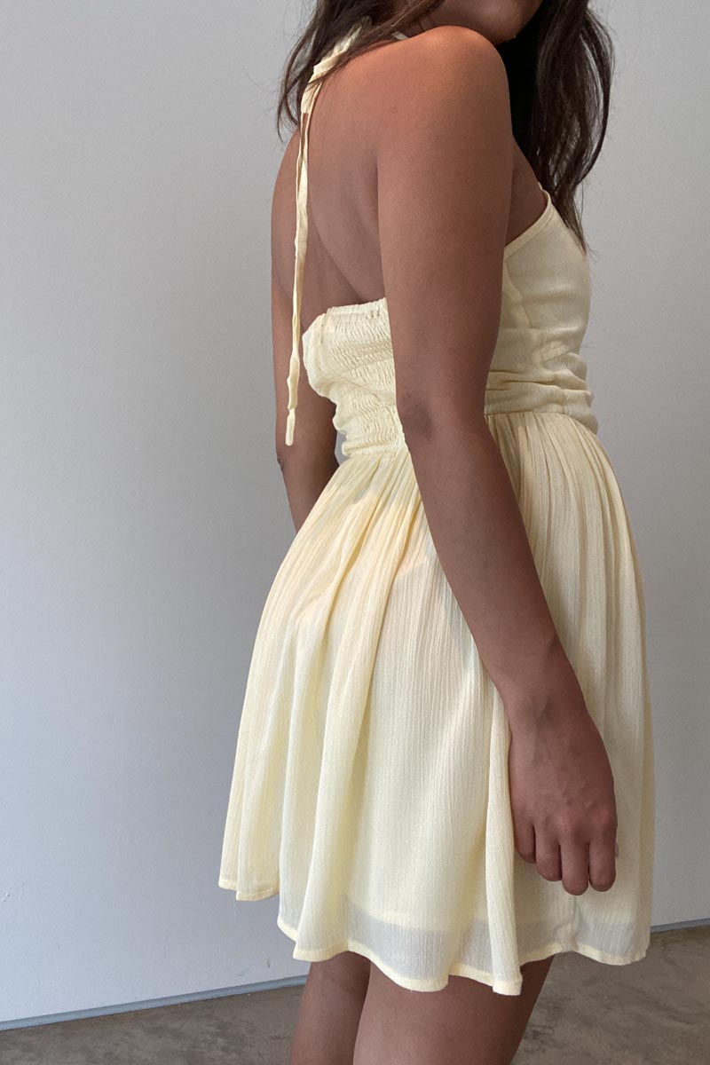 Halter Neck Shirred Back Mini Dress