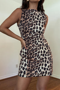 Leopard Print Mini Dress